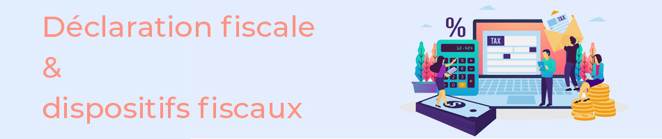 Illustration D&eacute;claration Fiscale
